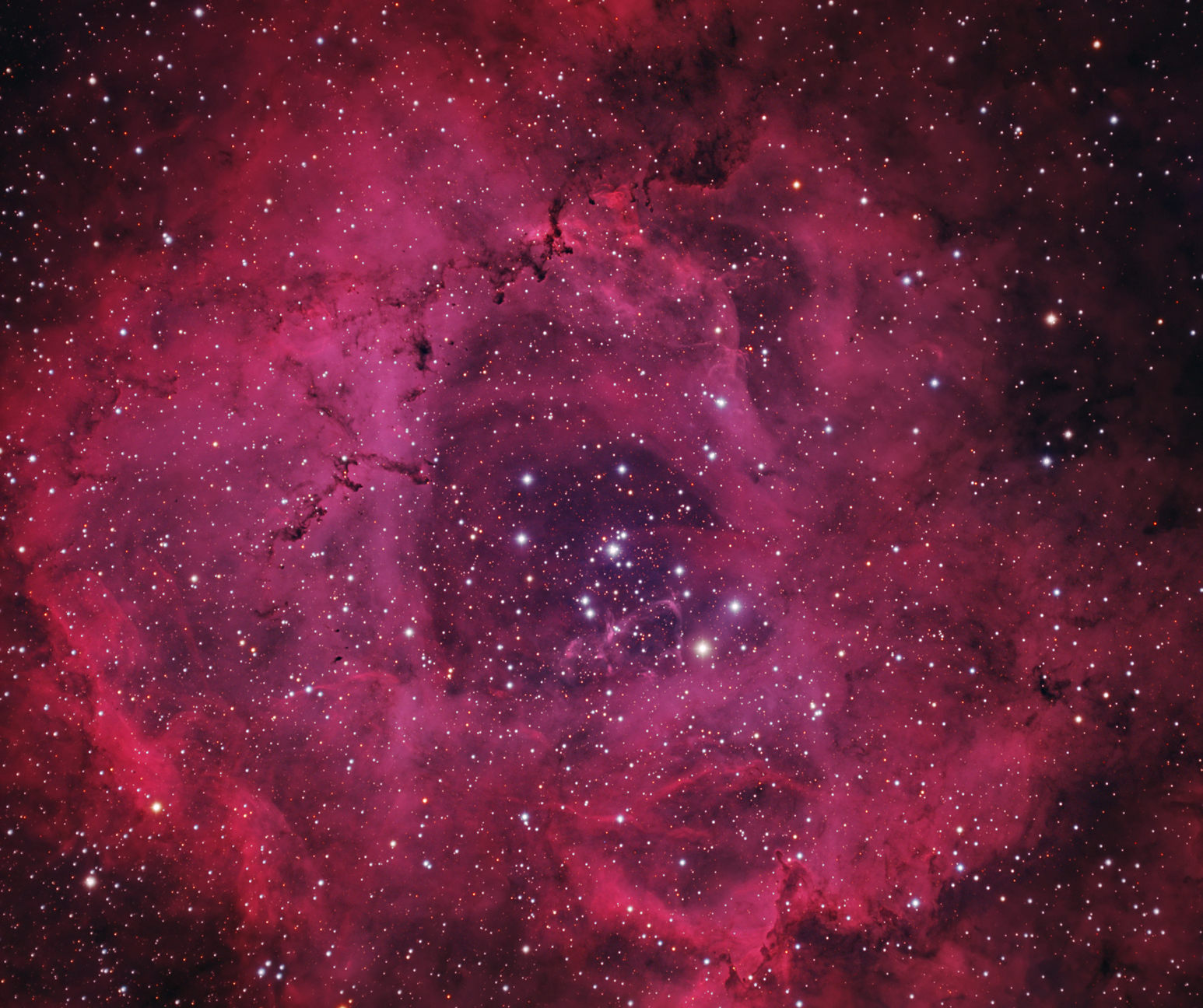 NGC2239