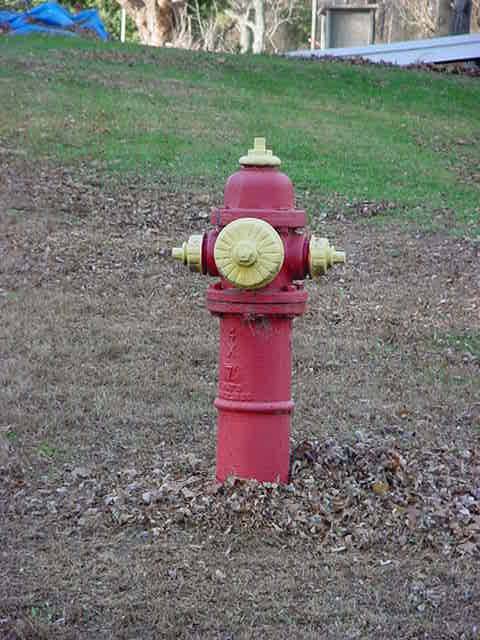 fire hydrant at<br>the Knapp home