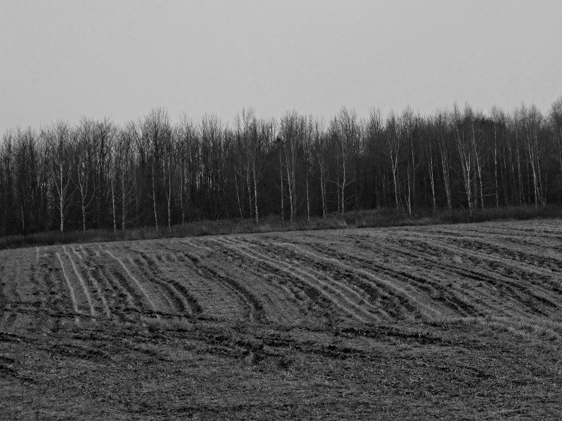 Furrowed Field in Winter Slumber