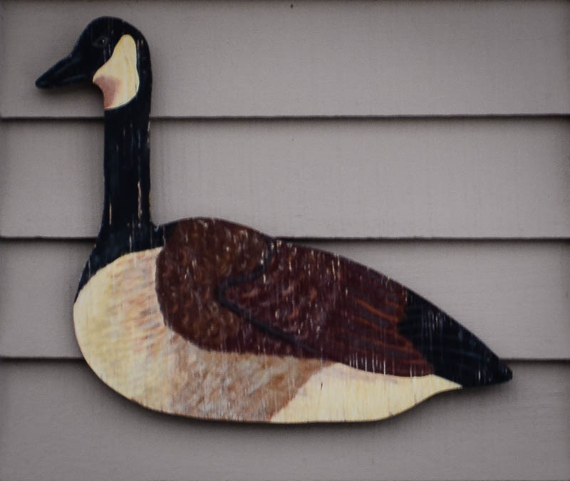 G is for Goose
