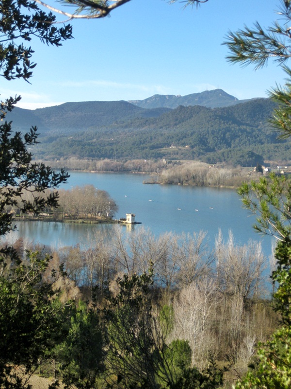 Vista des del Puig de Sant Martiri