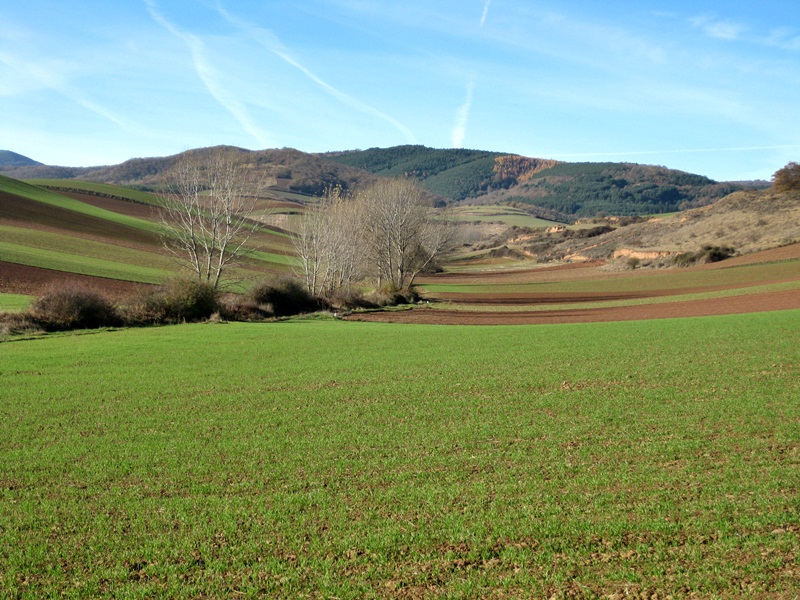 Camino a San Milln de la Cogolla