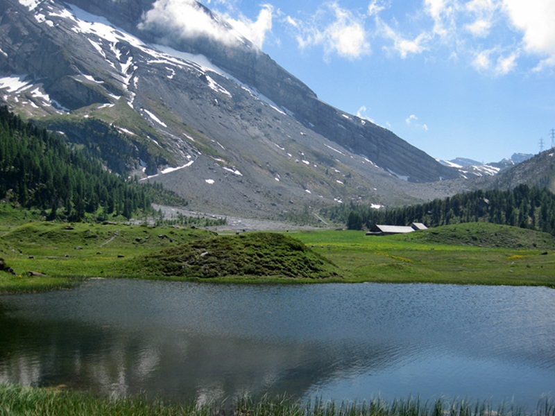 Kandersteg.Arvenseeli
