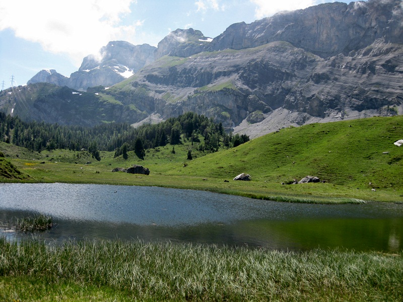Kandersteg. Arvenseeli