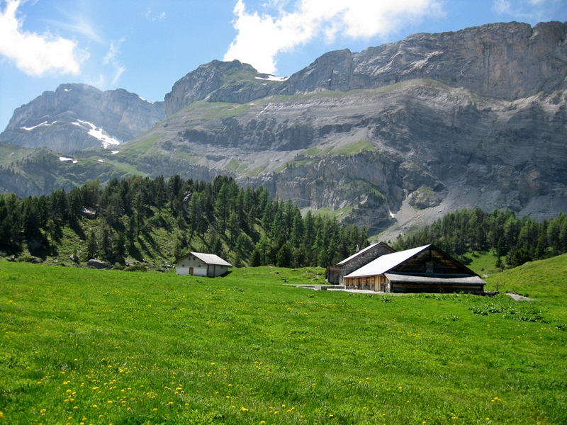 Kandersteg. Spittelmatte Plain