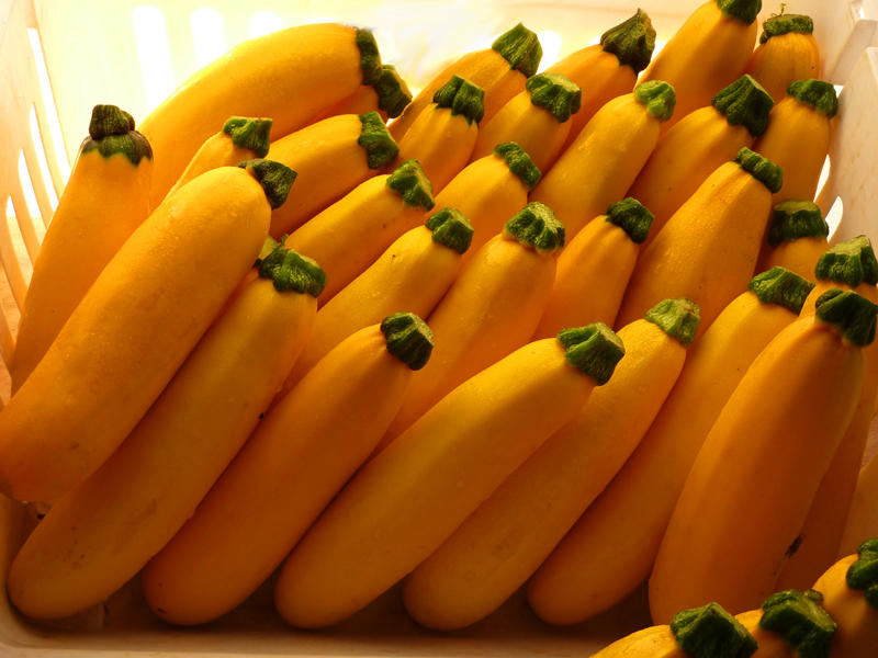Yellow Zucchini