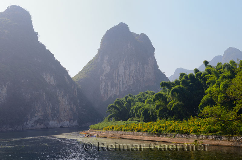 Bamboo forest with flowers on Li river China with karst mountains