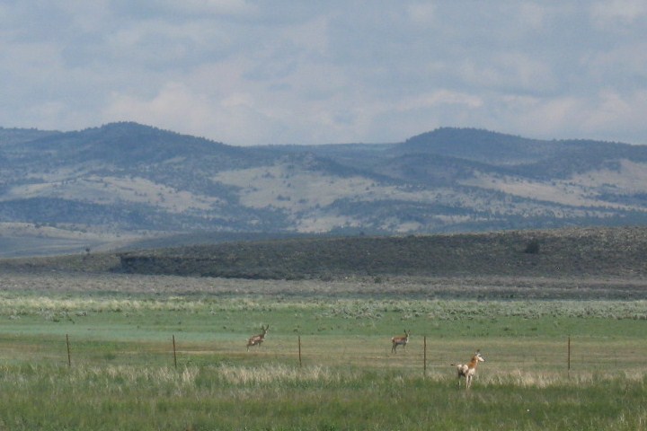 140.JPG