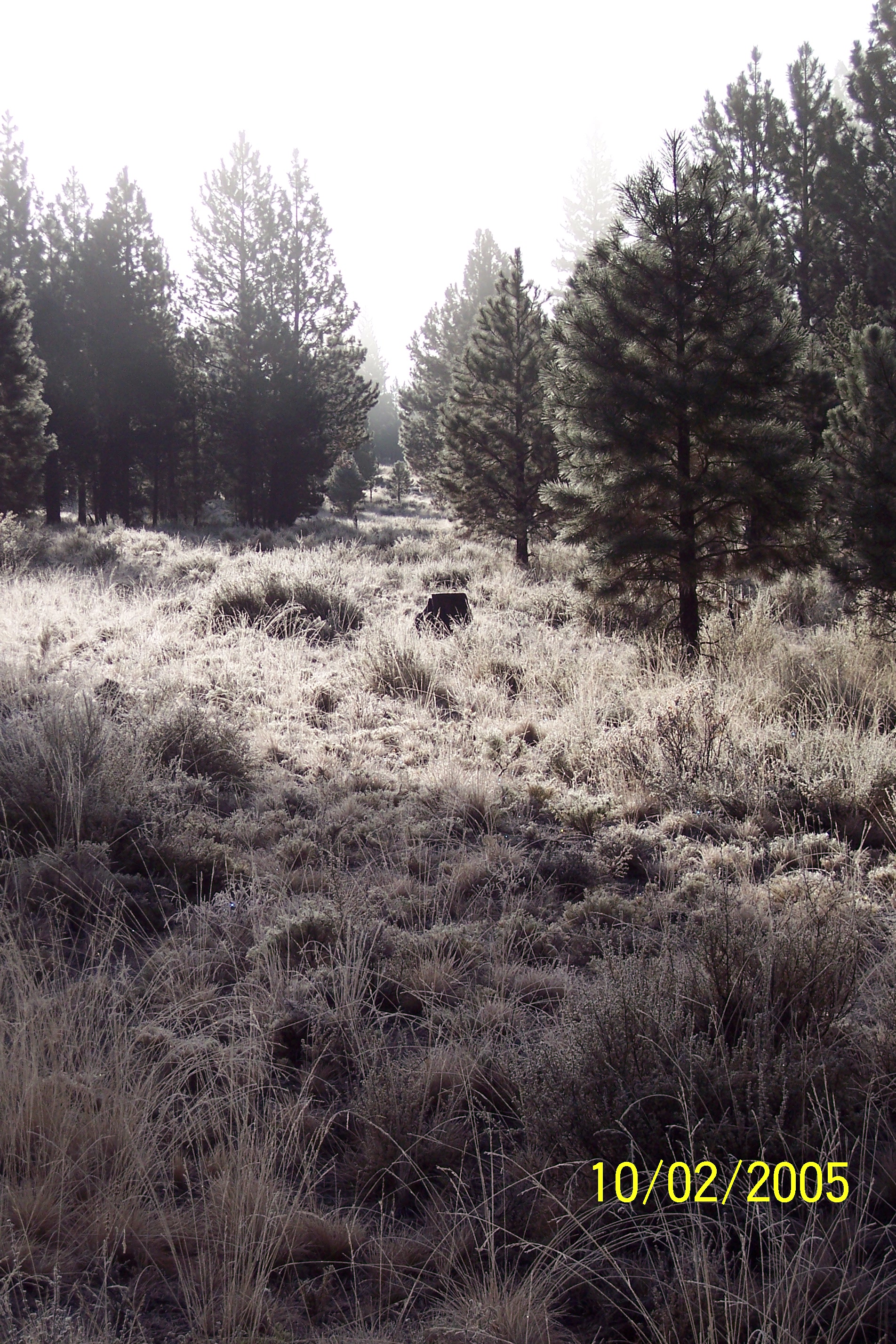 100_1209.JPG