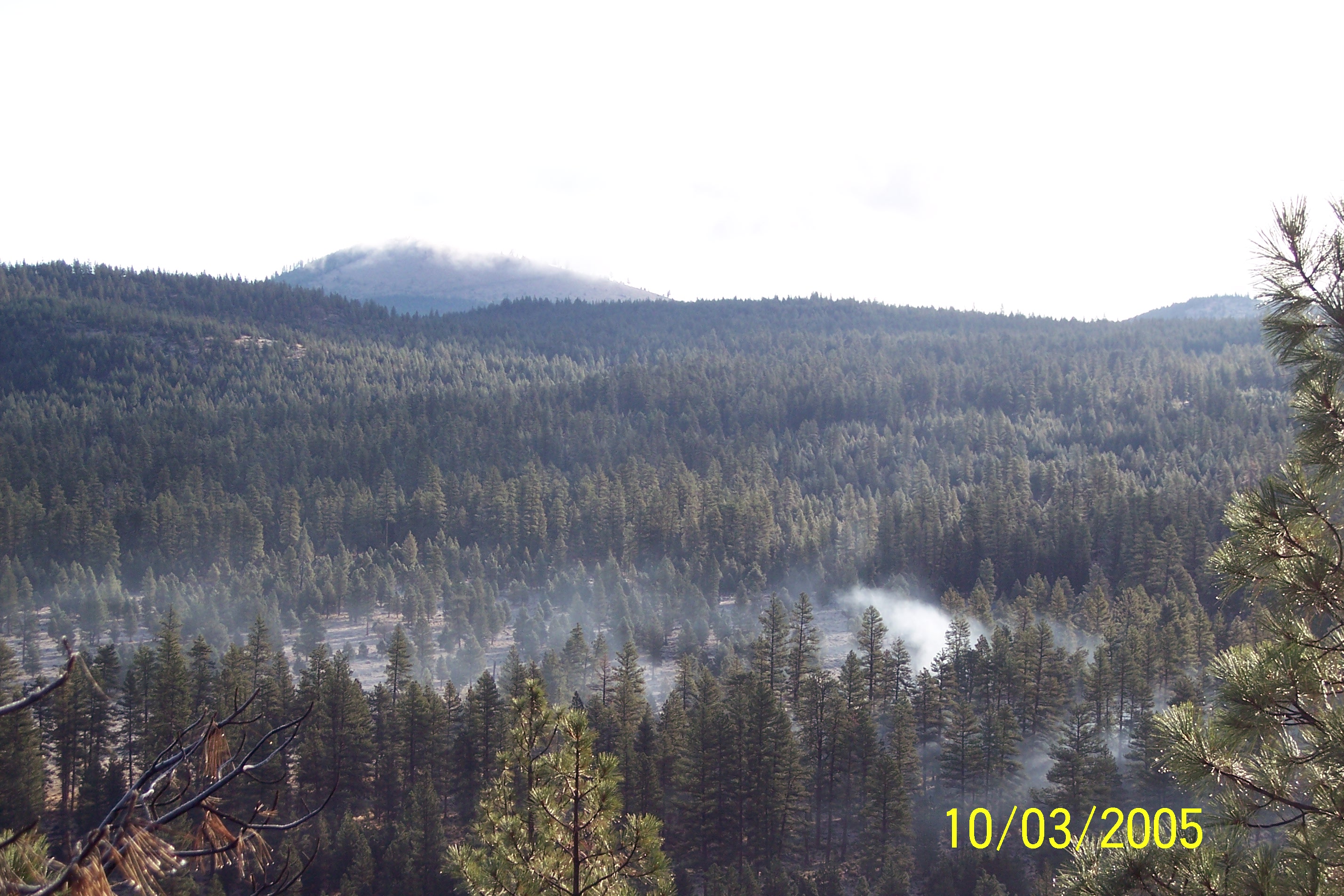 100_1323.JPG
