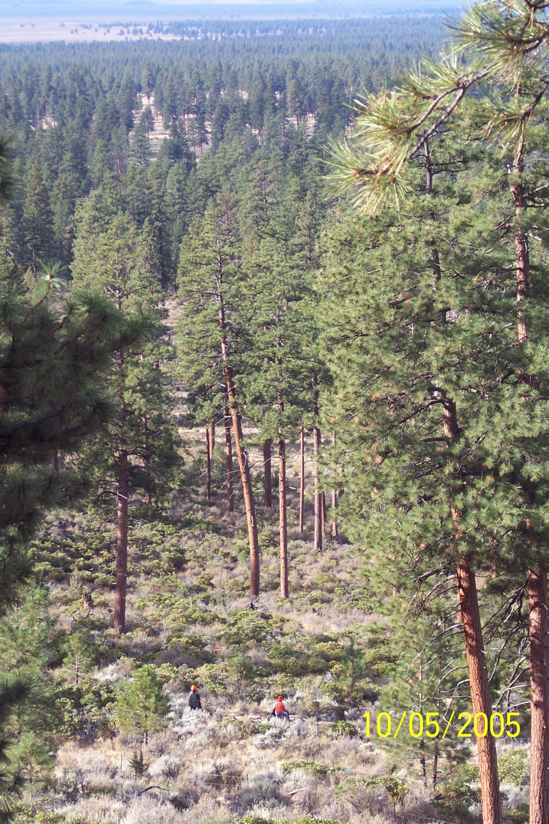 100_1480.JPG