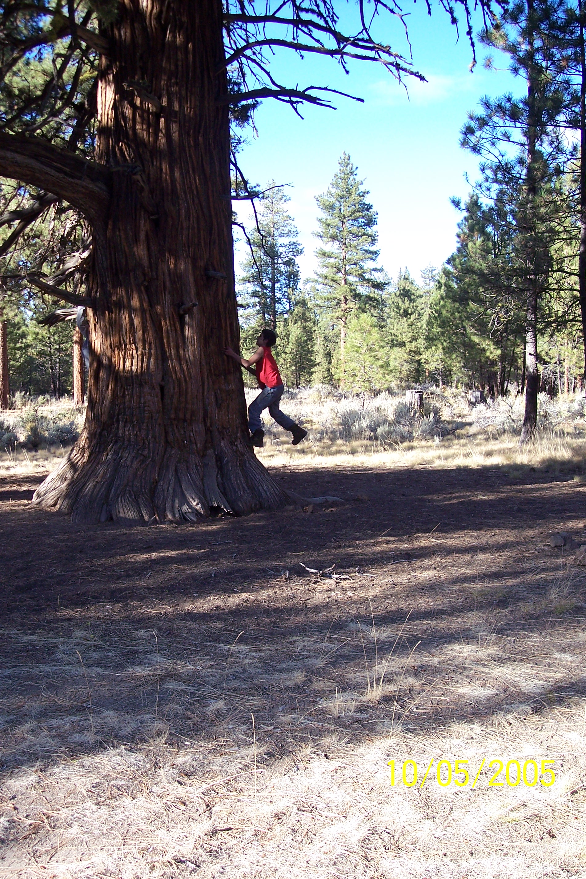 100_1498.JPG