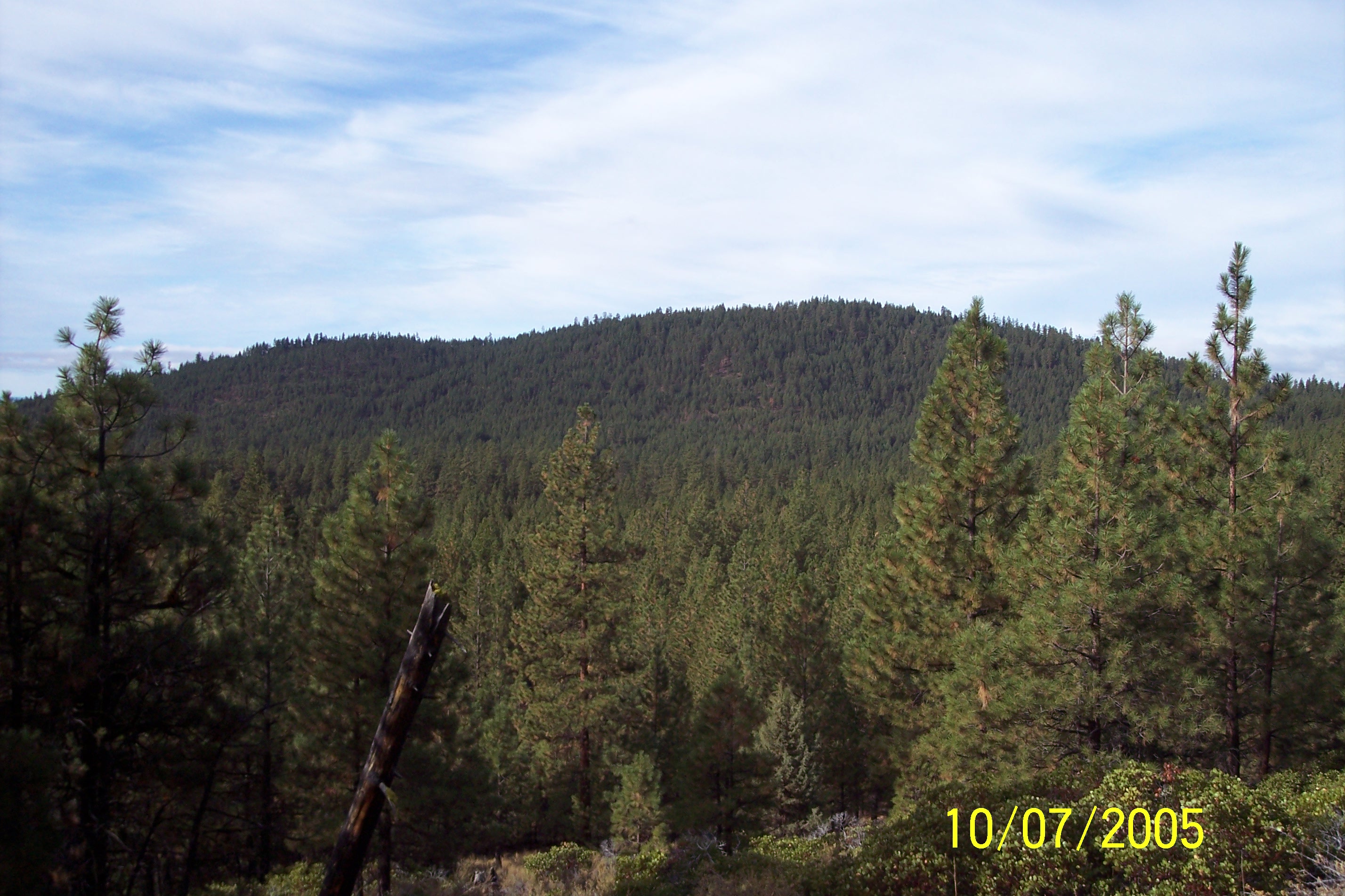 100_1528.JPG