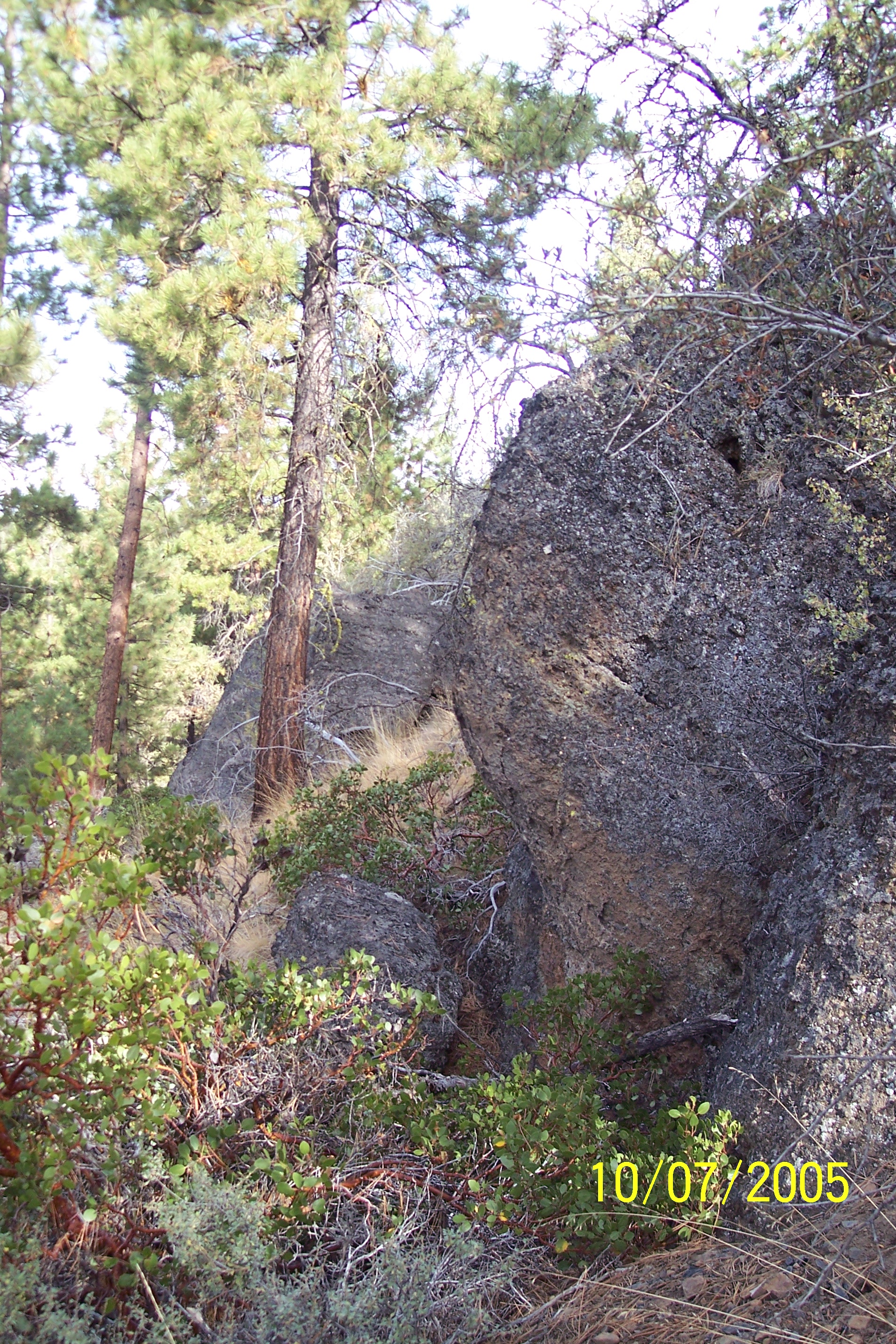 100_1530.JPG
