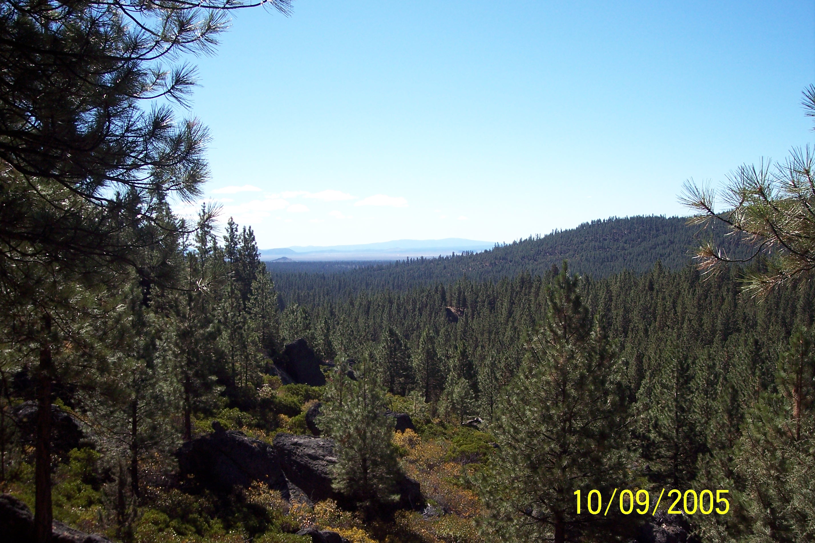 100_1567.JPG
