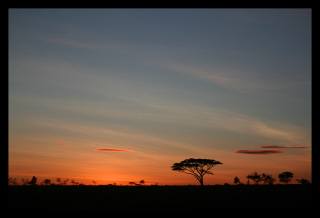Sunrise Over Serengeti