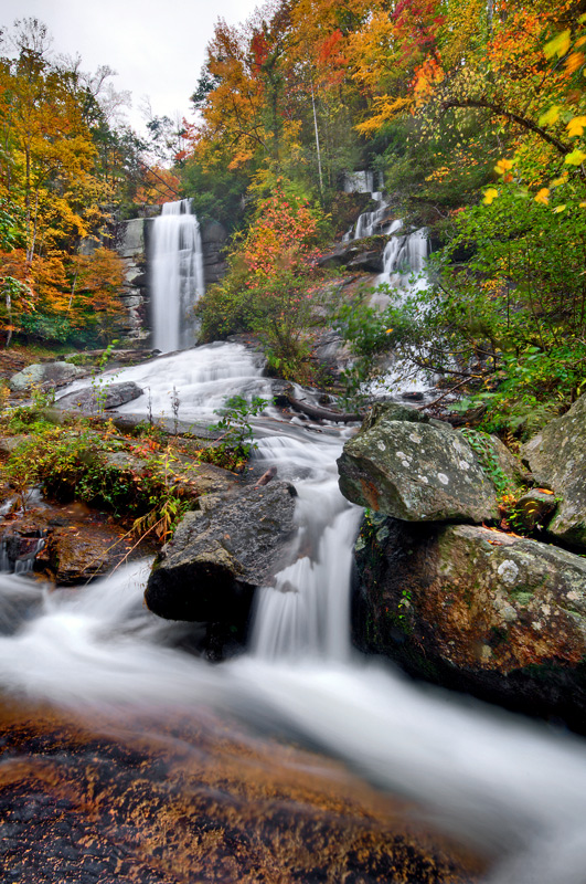 Reedy Cove Falls