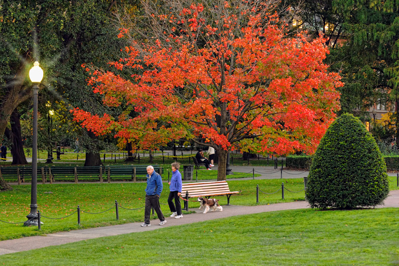 Boston Public Gardens