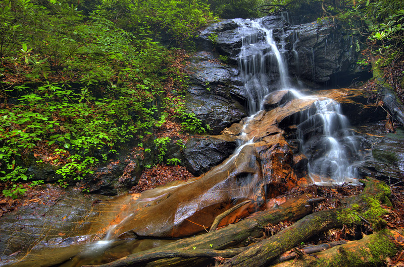 Waterfall on Log Hollow Branch