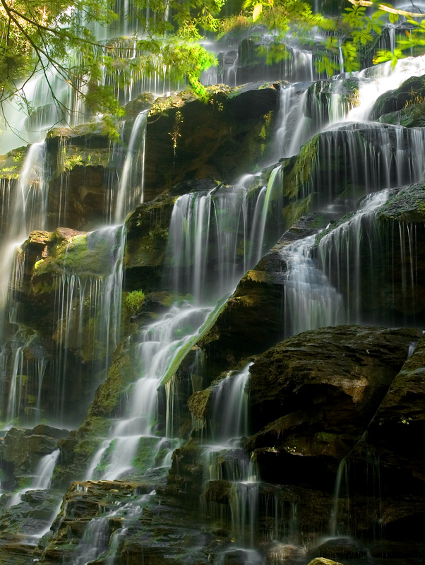 Yellow Branch Falls Detail