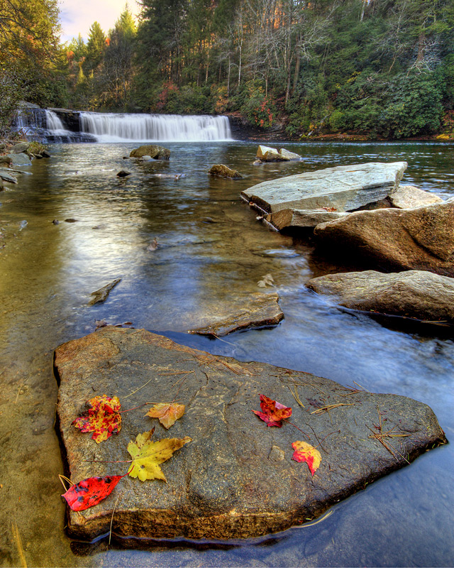 Autumn Leaves at Hooker Falls