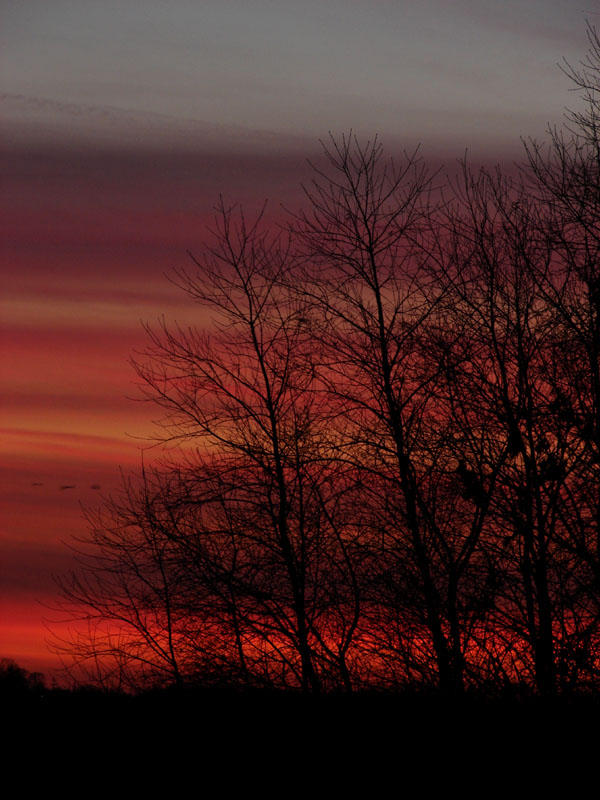 November 21, 2008<br><font size=2>Shabby Darkness</font>