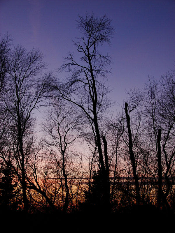 December 25, 2007<br><font size=2>Not Thinking of Christmas</font>