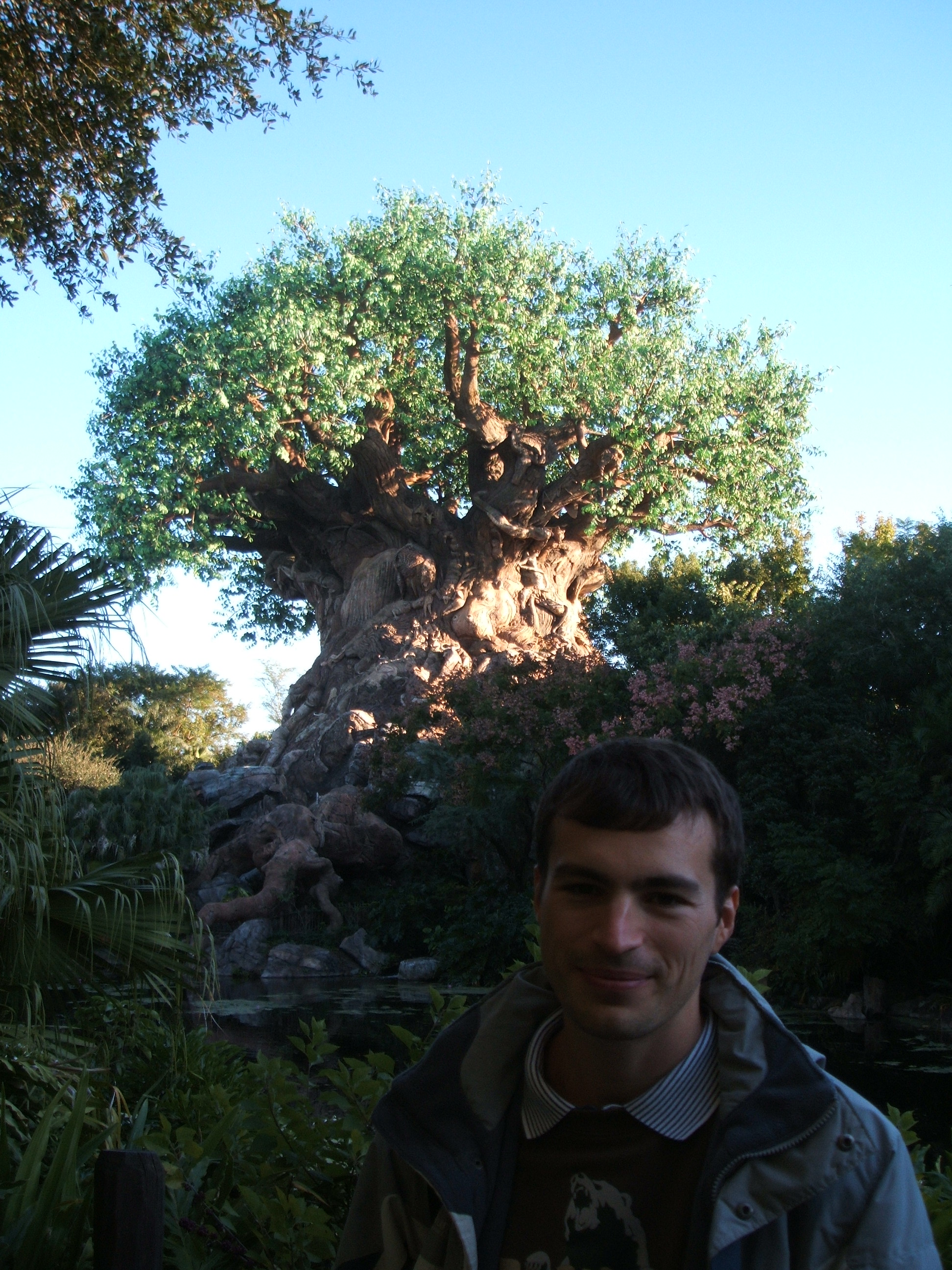 Animal Kingdom - Tree of Life