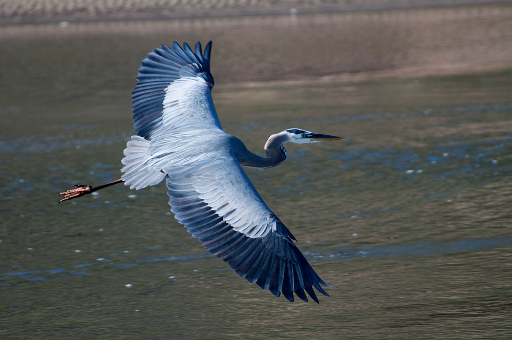DSC_0231.jpg