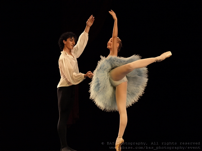 Pas de deux - Santanilla<br>Raluca Grivinca si Vlad Marculescu