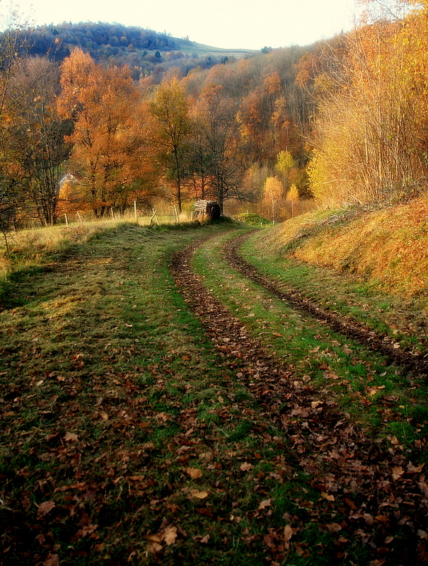 col de la Perheux # 4