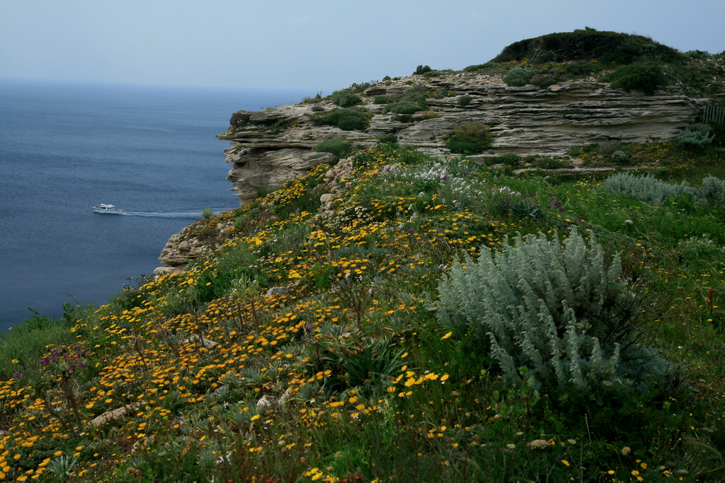 falaises