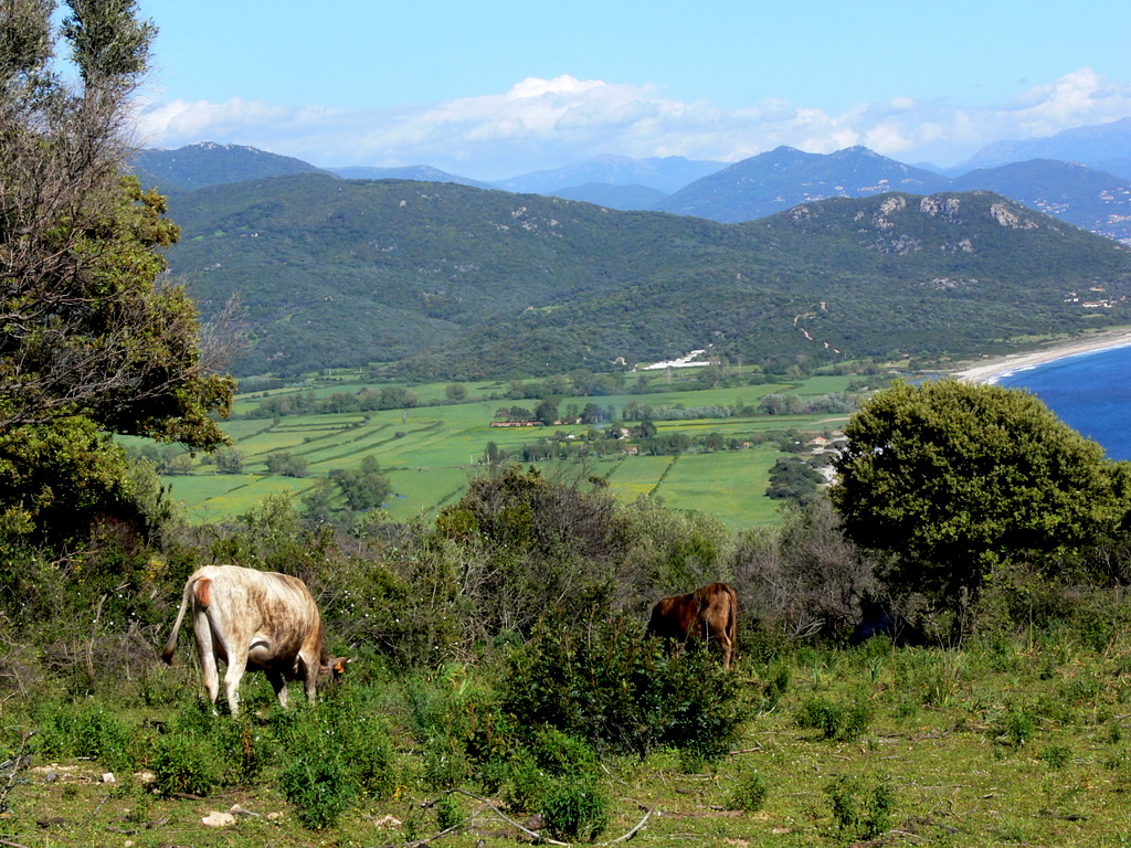 tra mare et montipath.