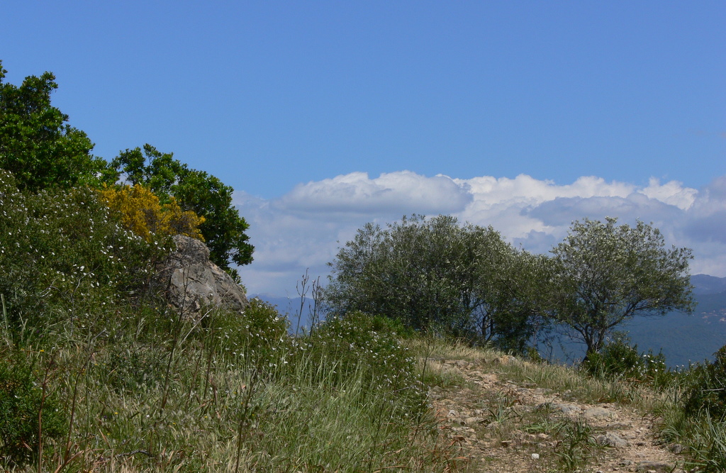path tra mare e monti