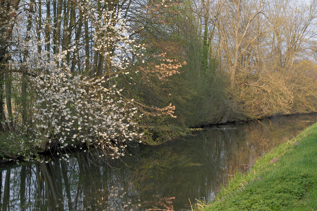 le canal au printemps.