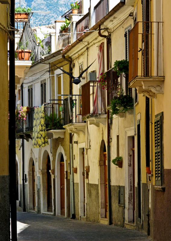 Sulmona # 3