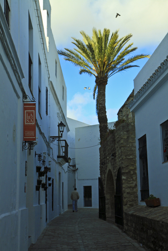 Vejer de la Frontera #3