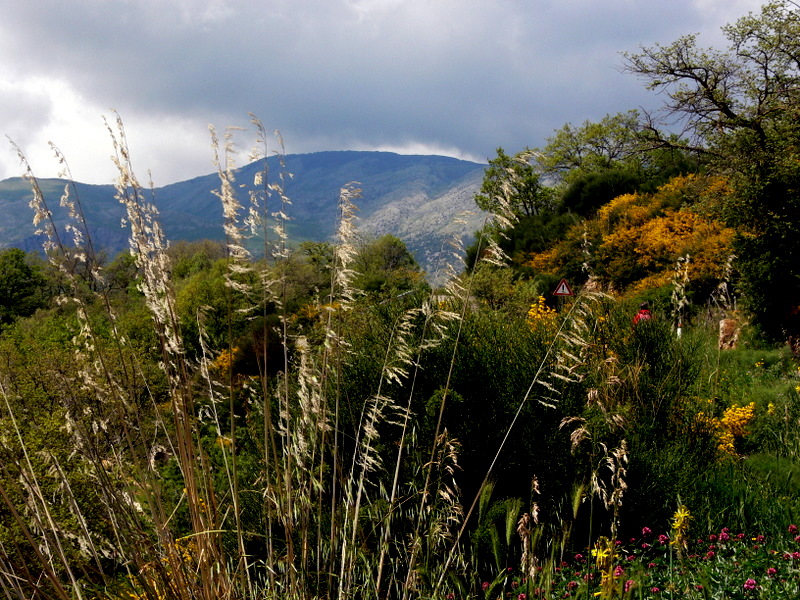 Madonies mountains.