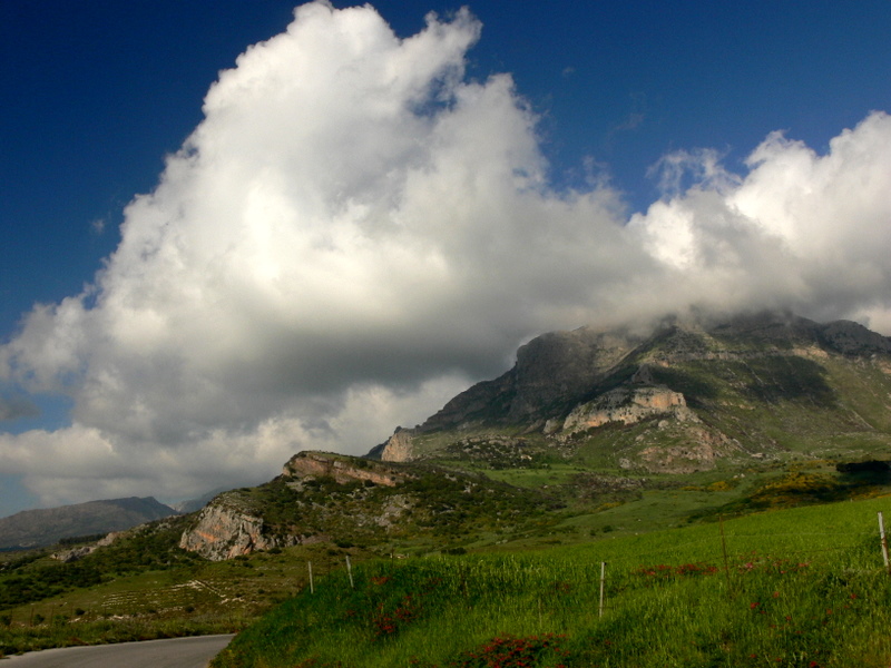 P1260283-1.JPG