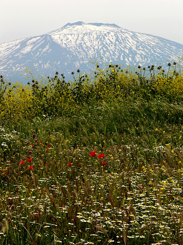 mount Etna 2