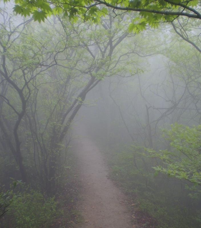 Mountain rigde path.