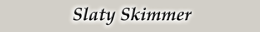 SlatySkimmerLogo.jpg