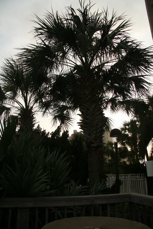 IMG_6912.JPG