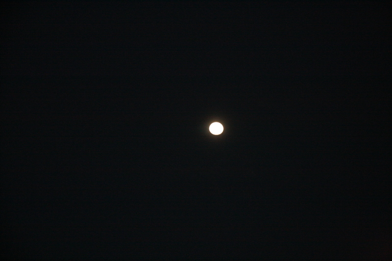 IMG_6934.JPG