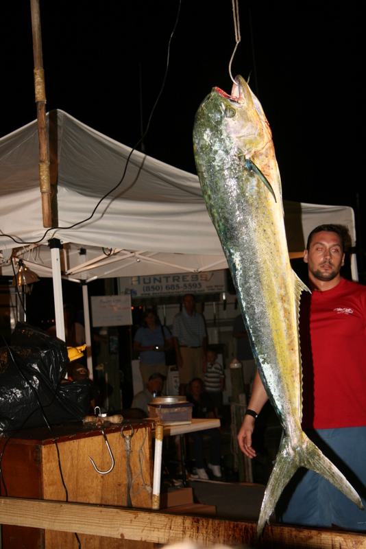 IMG_7064.JPG