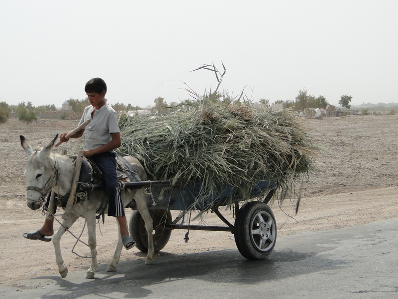Turkmenistan103 konya urgench.JPG
