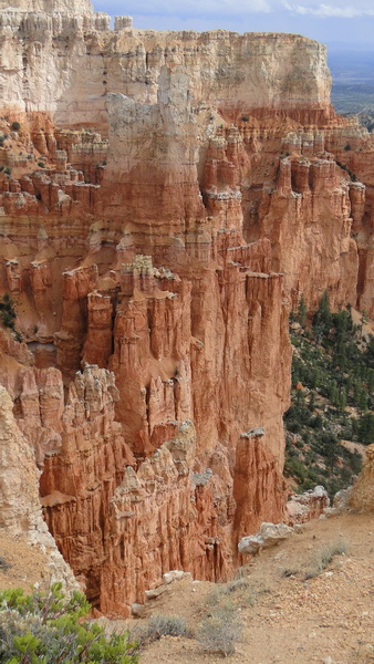 DSC107 bryce.JPG