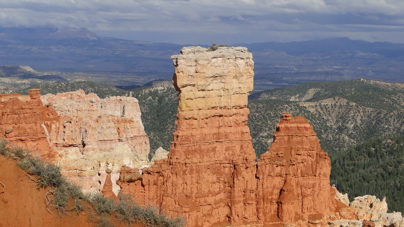 DSC113 bryce.JPG