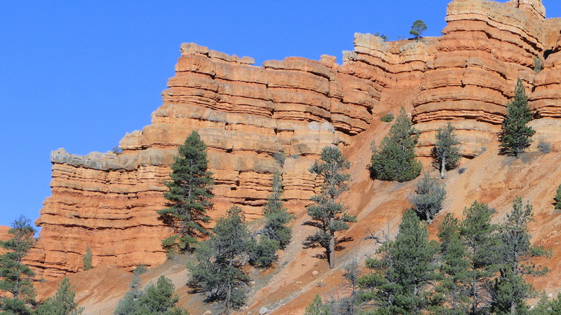 DSC116 red canyon.JPG