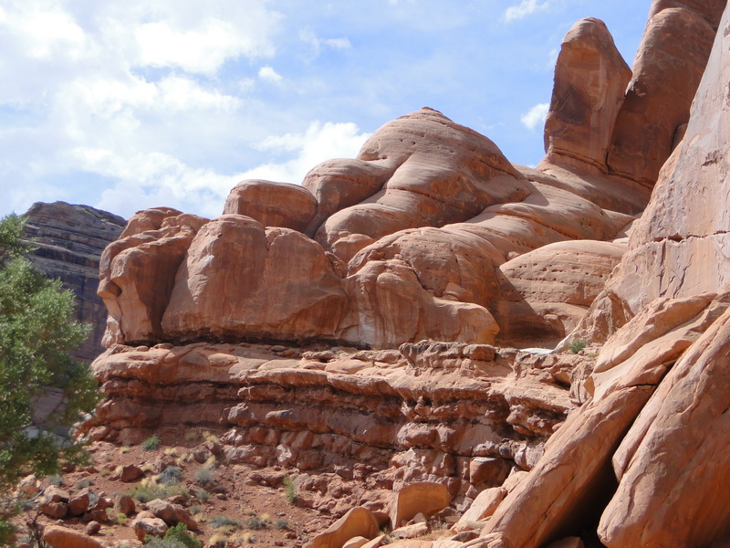 DSC45 arches.JPG